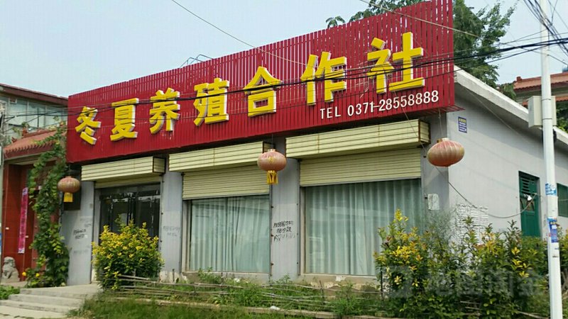 太白县养殖合作社：生态农业发展新篇章